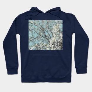 Underneath the Apricot Blossoms Hoodie